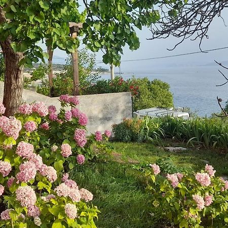 Apartments Mare Croatia เซนญ์ ภายนอก รูปภาพ