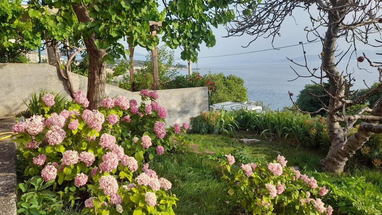 Apartments Mare Croatia เซนญ์ ภายนอก รูปภาพ